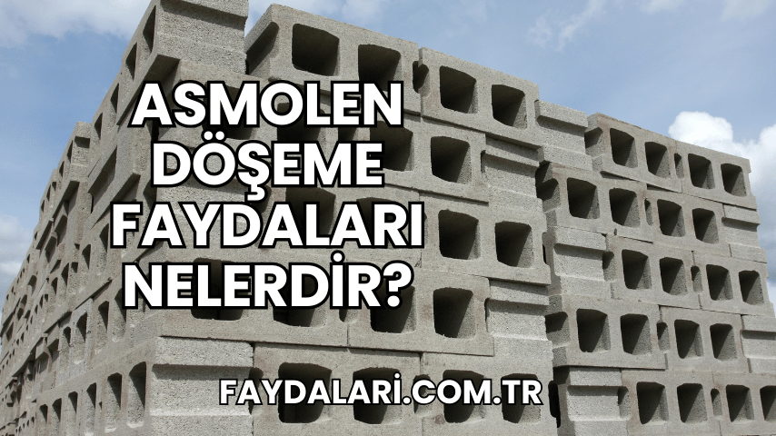 faydalari.com.tr