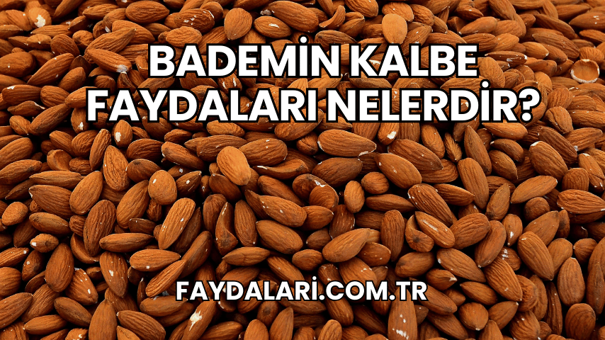 Bademin Kalbe Faydaları Nelerdir?