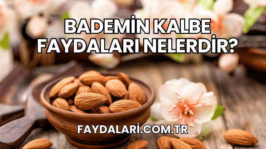 Bademin Kalbe Faydaları Nelerdir?