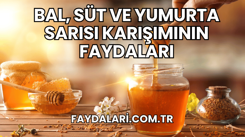 Bal, Süt ve Yumurta Sarısı Karışımının Faydaları