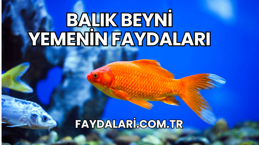 Balık Beyni Yemenin Faydaları