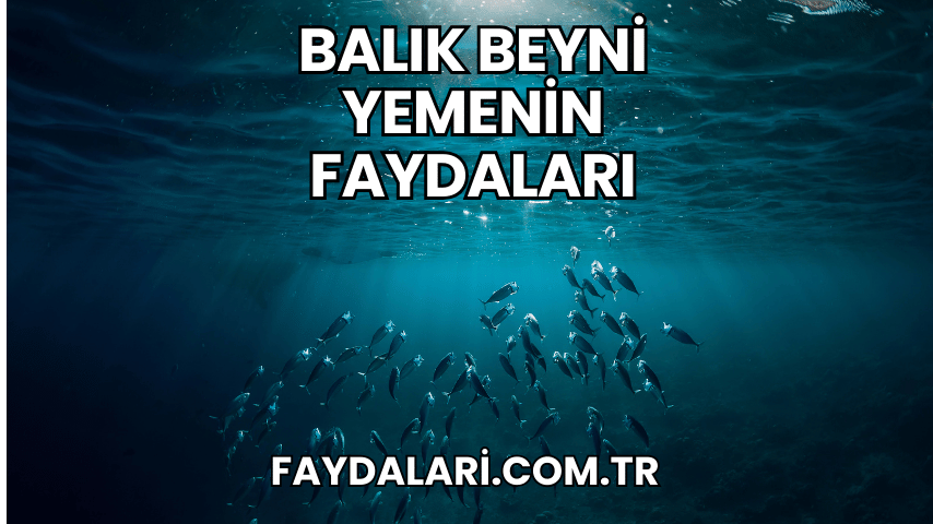 Balık Beyni Yemenin Faydaları