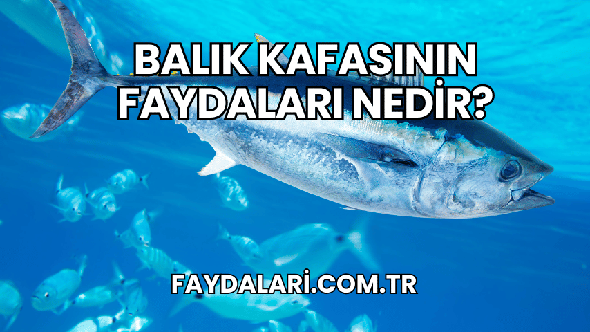 Balık Kafasının Faydaları Nedir?