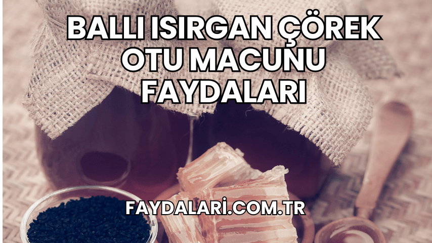 Ballı Isırgan Çörek Otu Macunu Faydaları