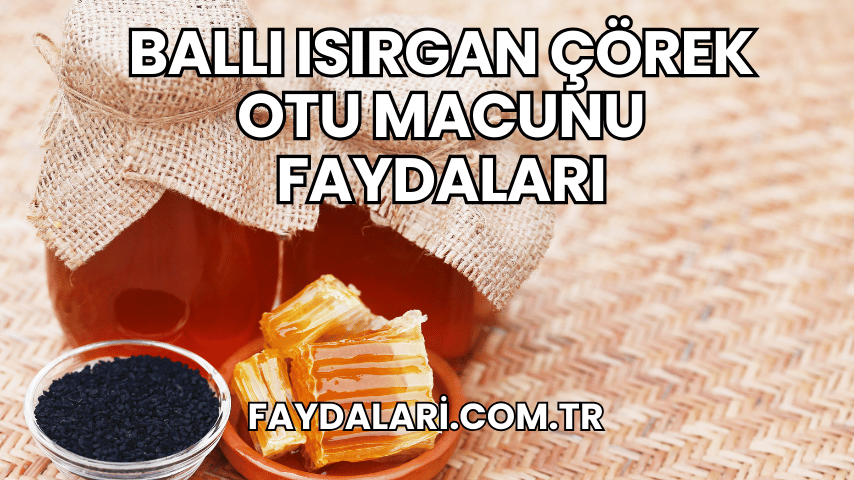 Ballı Isırgan Çörek Otu Macunu Faydaları