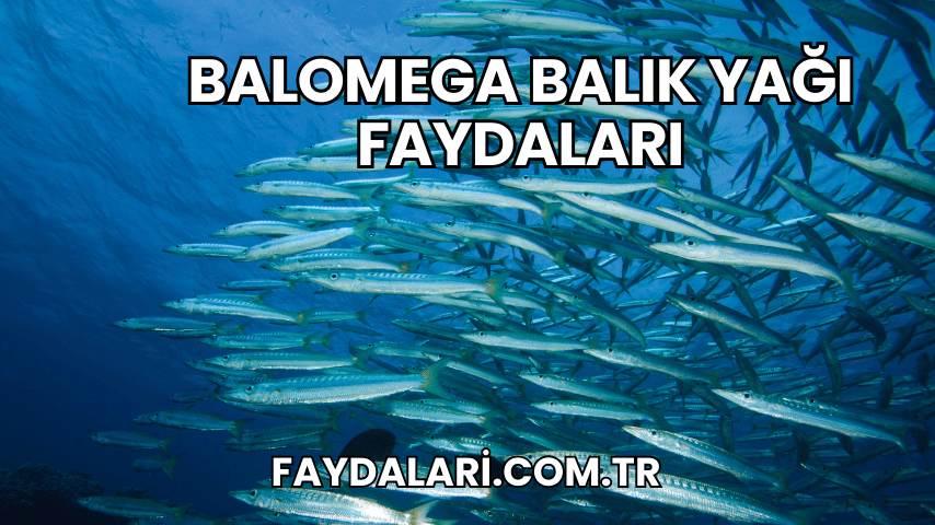 Balomega Balık Yağı Faydaları