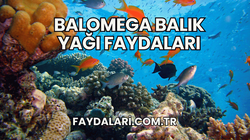 Balomega Balık Yağı Faydaları