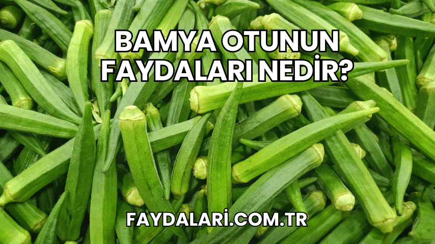 Bamya Otunun Faydaları Nedir?