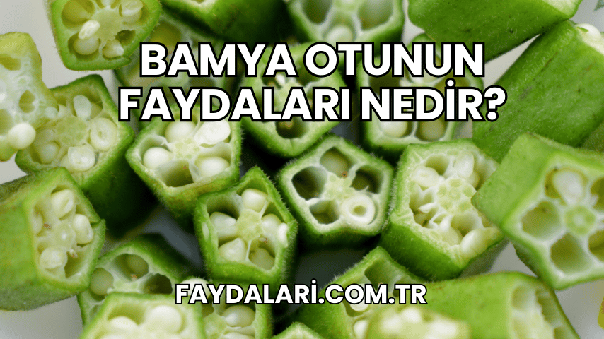 Bamya Otunun Faydaları Nedir?