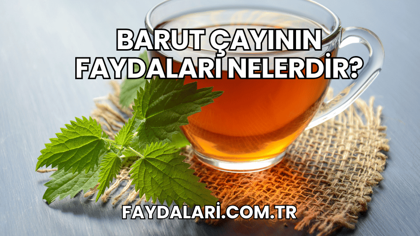 Barut Çayının Faydaları Nelerdir?