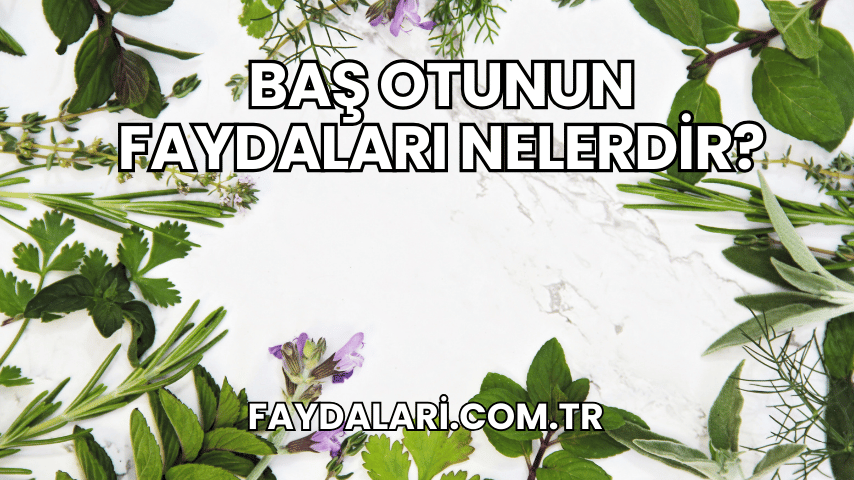 Baş Otunun Faydaları Nelerdir?