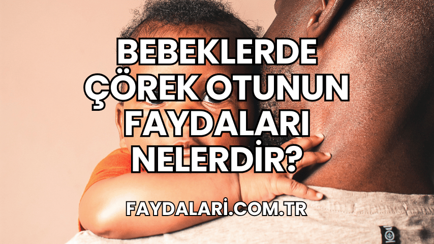 Bebeklerde Çörek Otunun Faydaları Nelerdir?