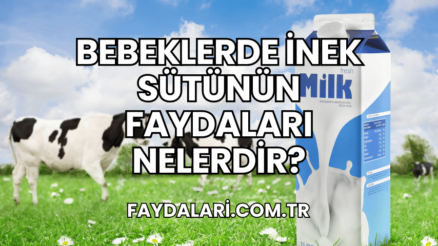 Bebeklerde İnek Sütünün Faydaları Nelerdir?