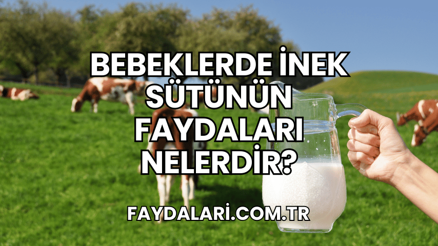 Bebeklerde İnek Sütünün Faydaları Nelerdir?