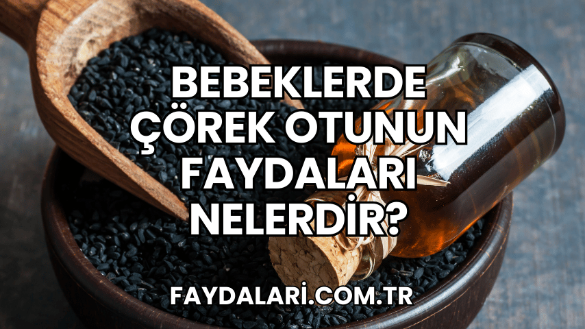 Bebeklerde Çörek Otunun Faydaları Nelerdir?