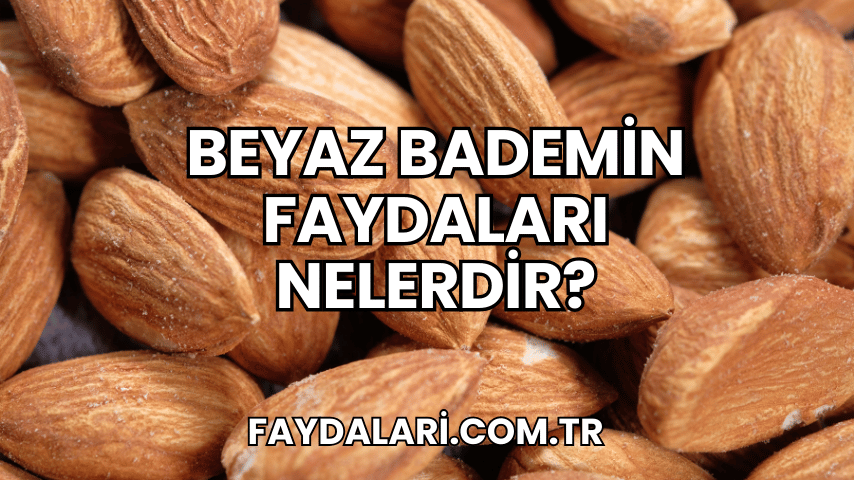 Beyaz Bademin Faydaları Nelerdir?