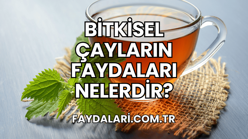 Bitkisel Çayların Faydaları Nelerdir?