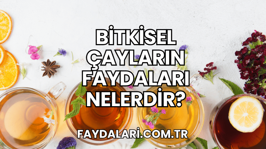 Bitkisel Çayların Faydaları Nelerdir?