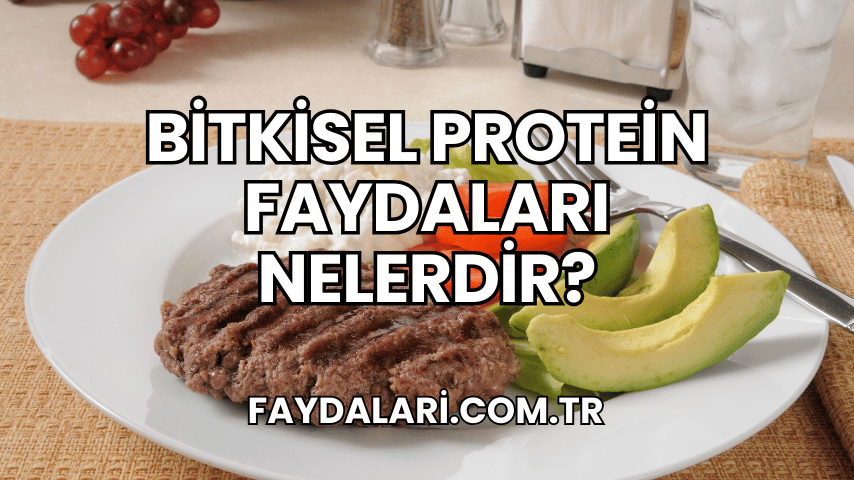 Bitkisel Protein Faydaları Nelerdir?