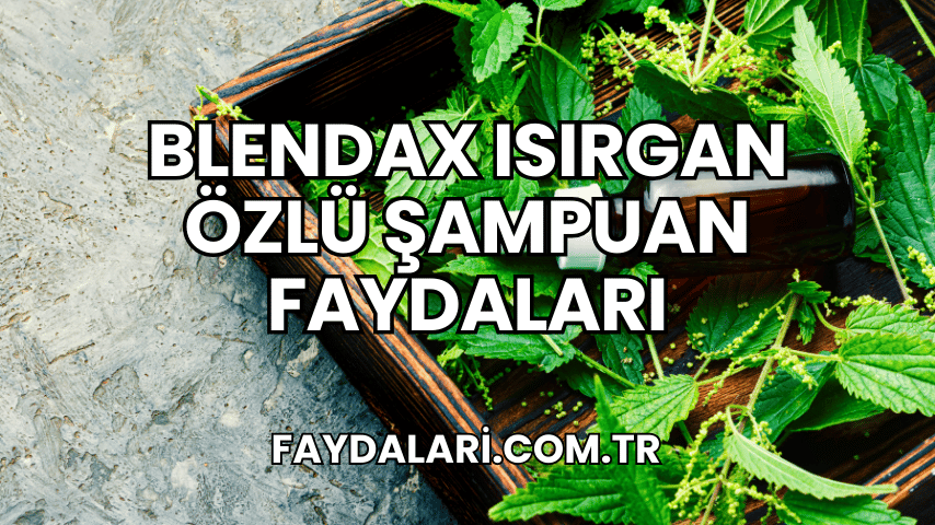 Blendax Isırgan Özlü Şampuan Faydaları