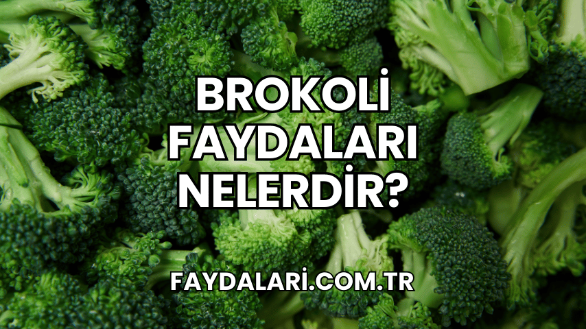 Brokoli Faydaları Nelerdir?