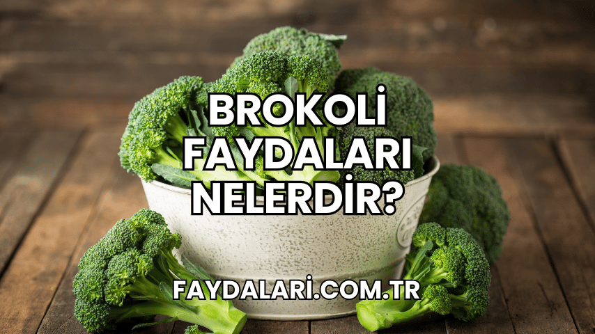 Brokoli Faydaları Nelerdir?