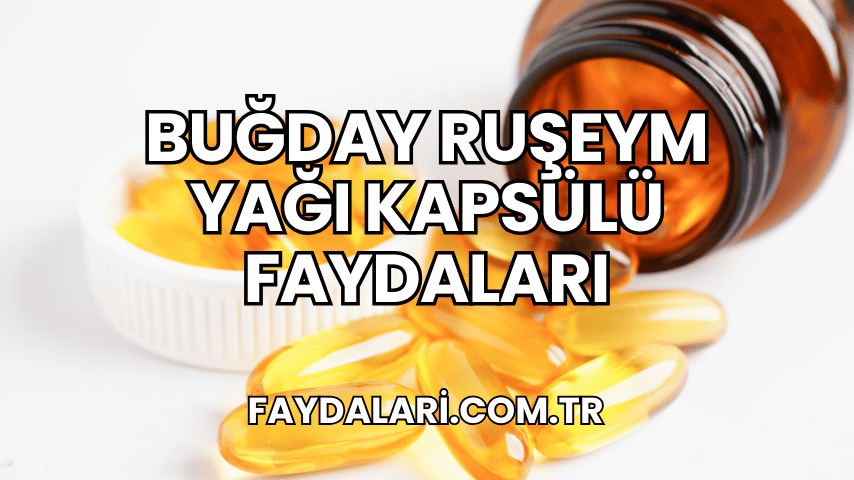 Buğday Ruşeym Yağı Kapsülü Faydaları