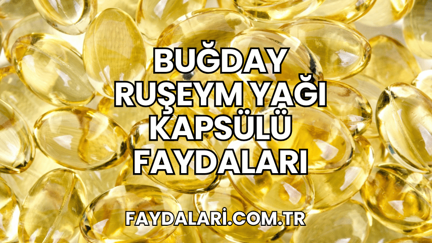 Buğday Ruşeym Yağı Kapsülü Faydaları