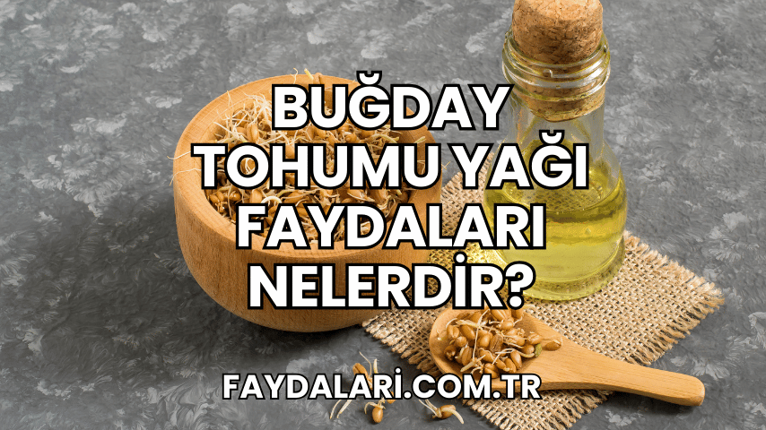 Buğday Tohumu Yağı Faydaları Nelerdir?