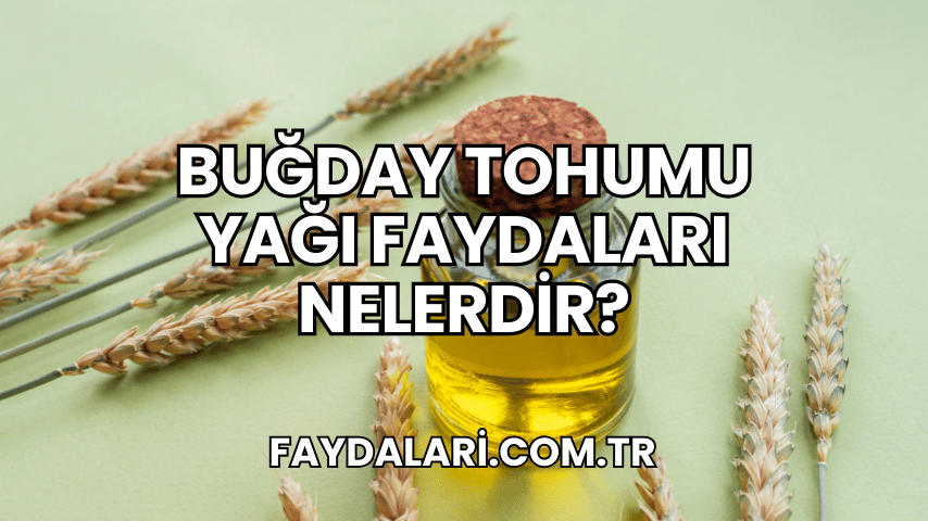 Buğday Tohumu Yağı Faydaları Nelerdir?