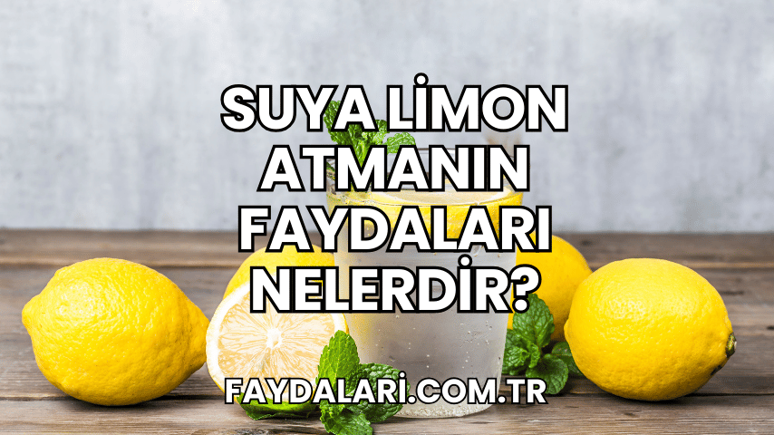 Suya Limon Atmanın Faydaları Nelerdir?