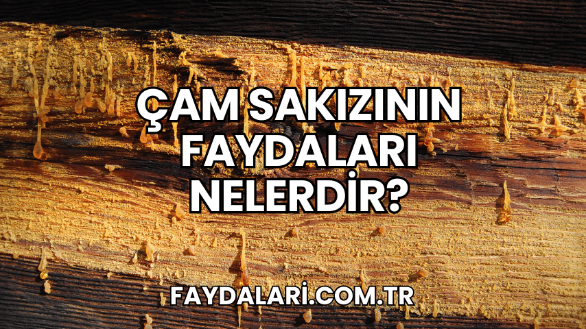 Çam Sakızının Faydaları Nelerdir?