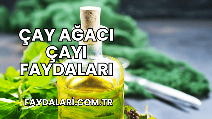 Çay Ağacı Çayı Faydaları