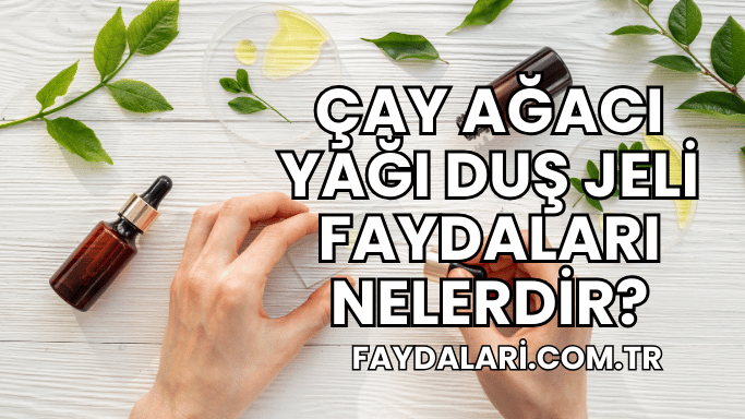 Çay Ağacı Yağı Duş Jeli Faydaları Nelerdir?