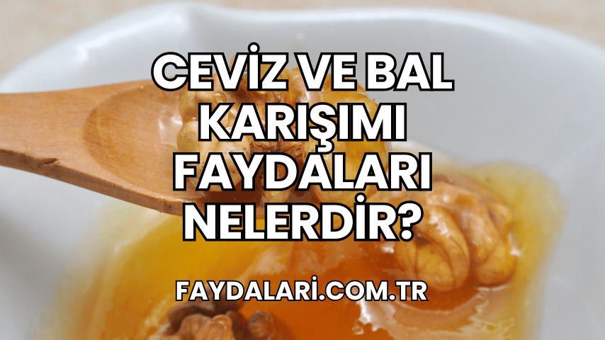 Ceviz ve Bal Karışımı Faydaları Nelerdir?