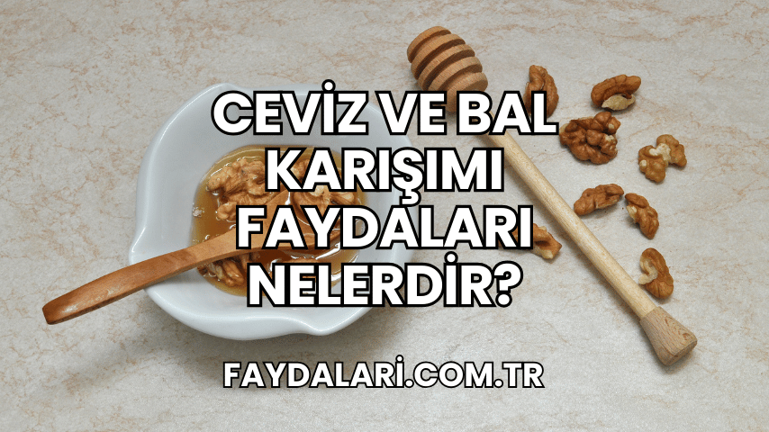 Ceviz ve Bal Karışımı Faydaları Nelerdir?