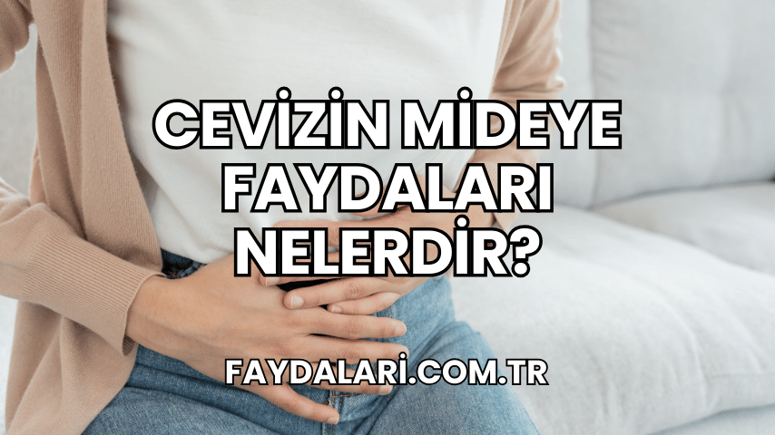 Cevizin Mideye Faydaları Nelerdir?