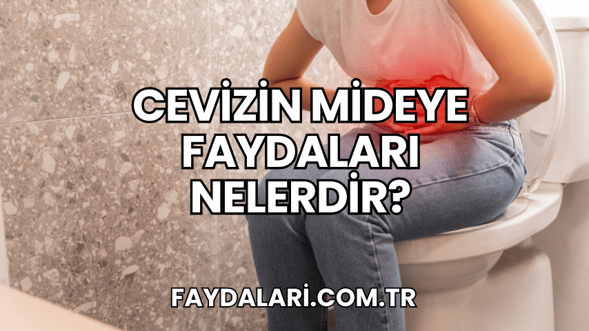 Cevizin Mideye Faydaları Nelerdir?