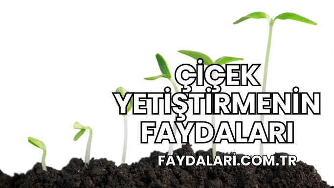 Çiçek Yetiştirmenin Faydaları