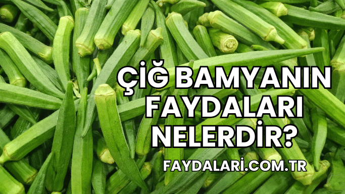 Çiğ Bamyanın Faydaları Nelerdir?