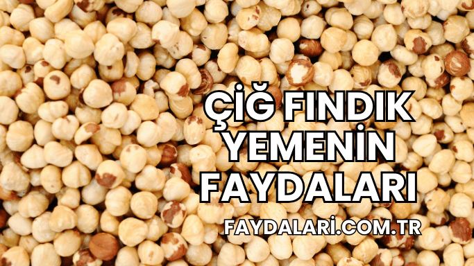 Çiğ Fındık Yemenin Faydaları