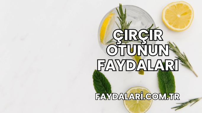 Çırçır Otunun Faydaları