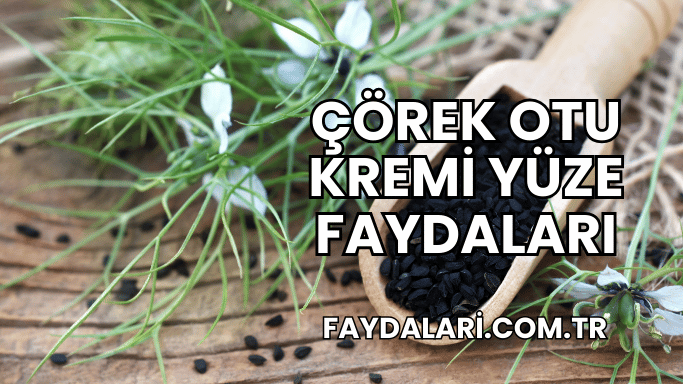 Çörek Otu Kremi Yüze Faydaları