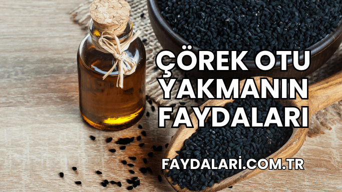 Çörek Otu Yakmanın Faydaları