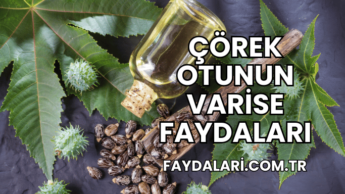 Çörek Otunun Varise Faydaları