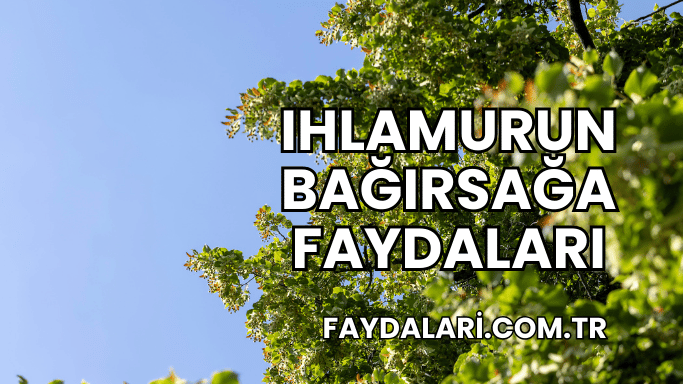 Ihlamurun Bağırsağa Faydaları