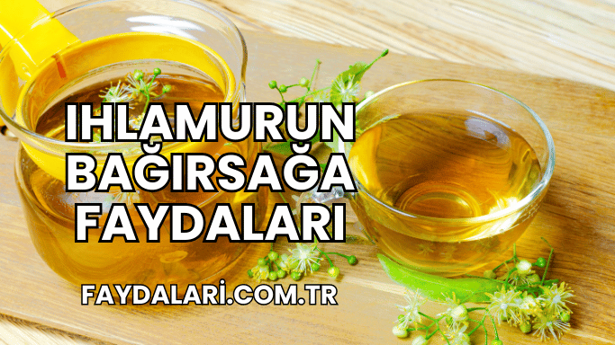 Ihlamurun Bağırsağa Faydaları