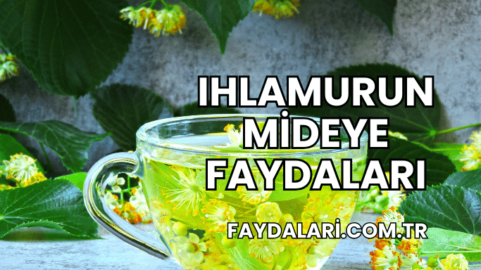 Ihlamurun Mideye Faydaları