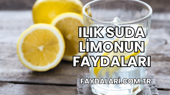 Ilık Suda Limonun Faydaları