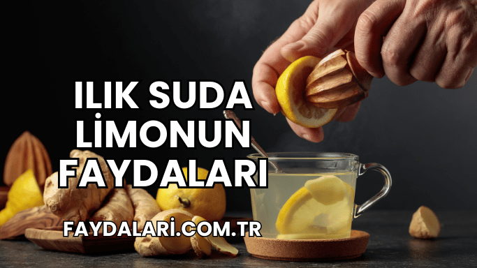 Ilık Suda Limonun Faydaları